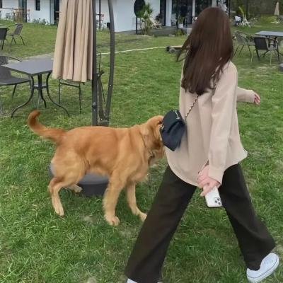 我的神使大人